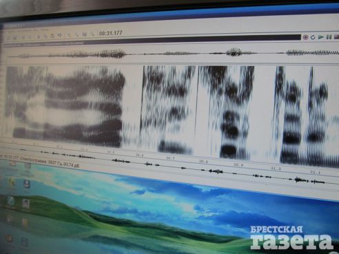 Эксперты: «Личность человека на 100% можно определить по голосу»