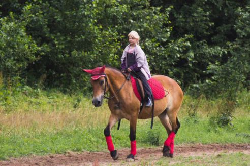 Уютный живописный уголок в ландшафтном заказнике "Сорочанские озера" приглашает на отдых