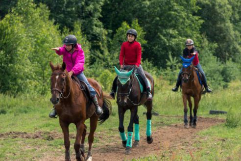 Уютный живописный уголок в ландшафтном заказнике "Сорочанские озера" приглашает на отдых
