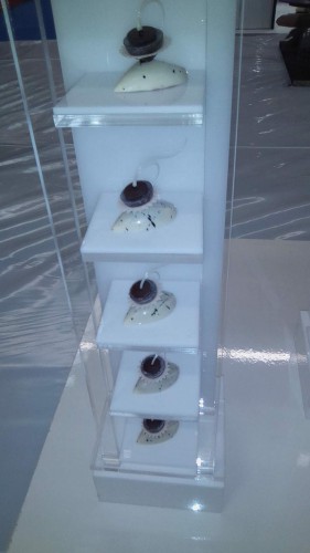 Боясь не довезти, цветы из сахара завернули в пленку и пенопласт. Повара из Постав взяли медали на олимпиаде в Германии Боясь не довезти, цветы из сахара завернули в пленку и пенопласт. Повара из Постав взяли медали на олимпиаде в Германии