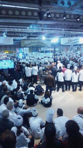 Боясь не довезти, цветы из сахара завернули в пленку и пенопласт. Повара из Постав взяли медали на олимпиаде в Германии Боясь не довезти, цветы из сахара завернули в пленку и пенопласт. Повара из Постав взяли медали на олимпиаде в Германии