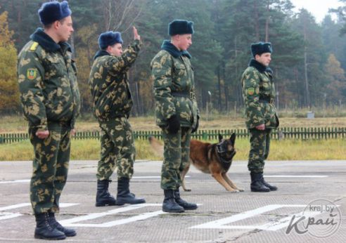 Сморгонские пограничники принимали международные соревнования кинологов (фото)