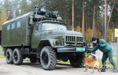 Сморгонские пограничники принимали международные соревнования кинологов (фото)