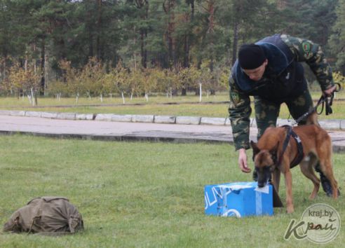 Сморгонские пограничники принимали международные соревнования кинологов (фото)