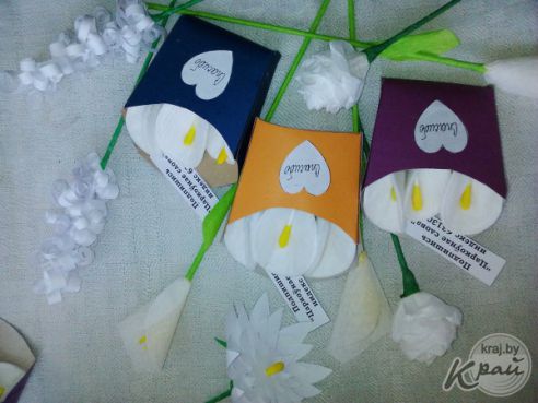 В помощь поставчанам с ДЦП Ване и Софии в Глубоком было собрано около 2 000 рублей (фото)