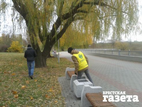 Петербрургские школьники приезжали в Брест убирать листья