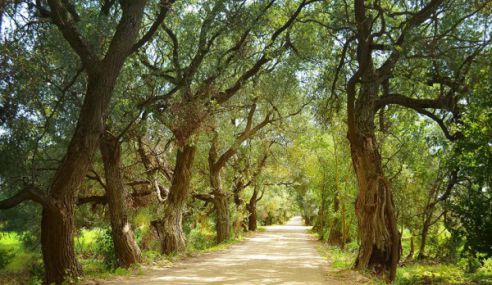 «Дукорский маёнтак» – сказочное место с древней историей