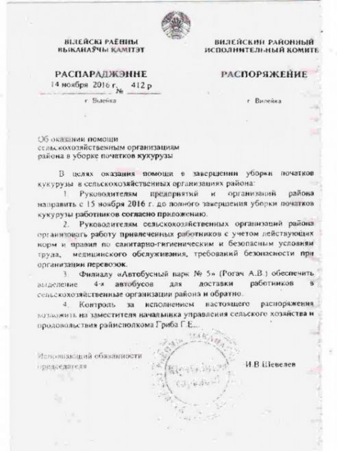 Правозащитник обратился в прокуратуру и Миноблисполком по факту принудительного сбора кукурузы на Вилейщине (фото)