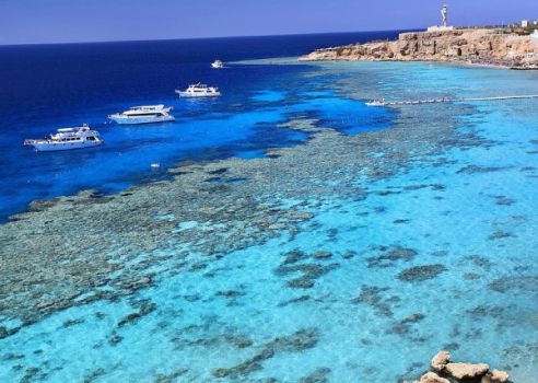 ТОП-5 популярных стран, где можно недорого отдохнуть этой зимой