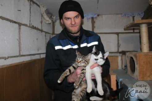 Обогреватель и грелка в домиках. Как волонтеры спасают от морозов котов в приюте временного содержания в Вилейке (фото)