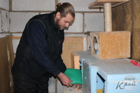 Обогреватель и грелка в домиках. Как волонтеры спасают от морозов котов в приюте временного содержания в Вилейке (фото)