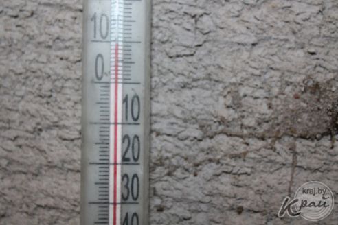 Обогреватель и грелка в домиках. Как волонтеры спасают от морозов котов в приюте временного содержания в Вилейке (фото)