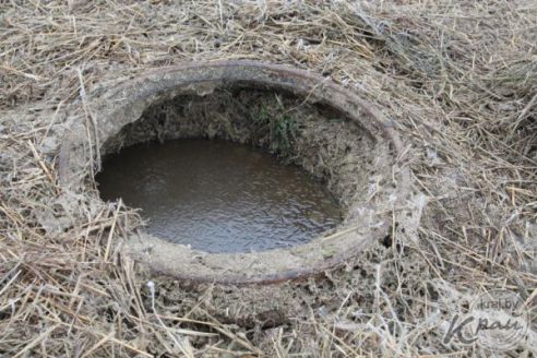 Односельчане о погибшем на ферме в Вилейском районе трактористе: «Хороший парень был, рукастый» (фото)