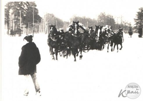 Катания с горки и на осле, лазание на столб за сапогами и петухом. Масленица в Вилейке на старых снимках (фото)