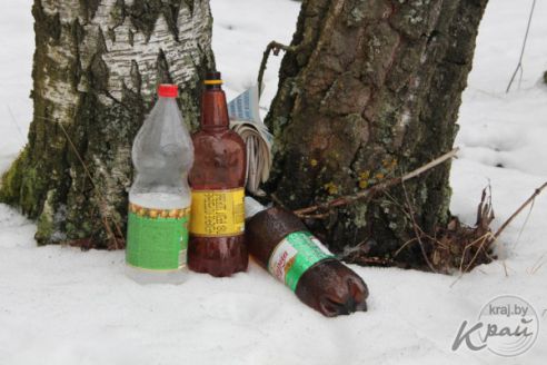 «Мусорят чаще местные рыбаки, а не минчане». Как на Вилейском водохранилище делали «генеральную уборку» (фото)