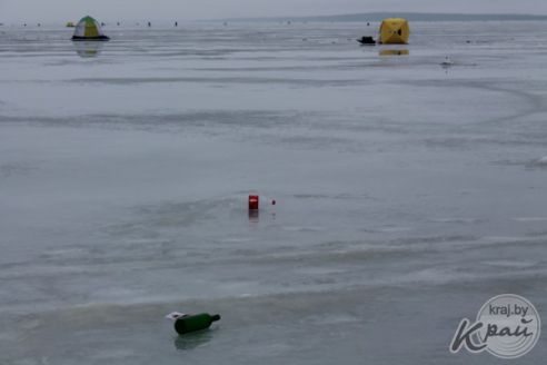 «Мусорят чаще местные рыбаки, а не минчане». Как на Вилейском водохранилище делали «генеральную уборку» (фото)