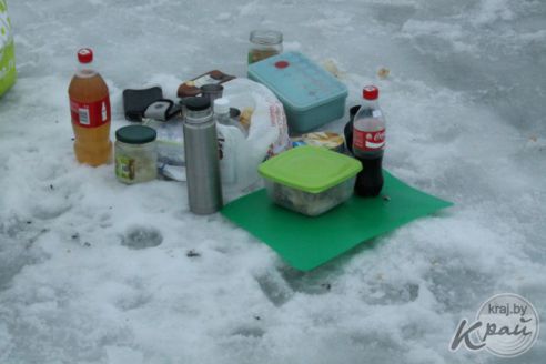 «Мусорят чаще местные рыбаки, а не минчане». Как на Вилейском водохранилище делали «генеральную уборку» (фото)