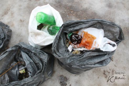 «Мусорят чаще местные рыбаки, а не минчане». Как на Вилейском водохранилище делали «генеральную уборку» (фото)