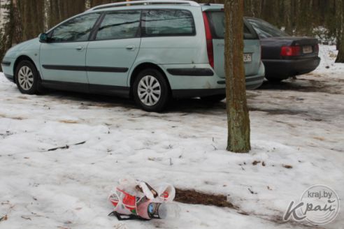 «Мусорят чаще местные рыбаки, а не минчане». Как на Вилейском водохранилище делали «генеральную уборку» (фото)