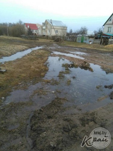 Болото или Приозерная? Жители деревни под Молодечно жалуются на дорогу, где утопают автомобили и трактора (фото)