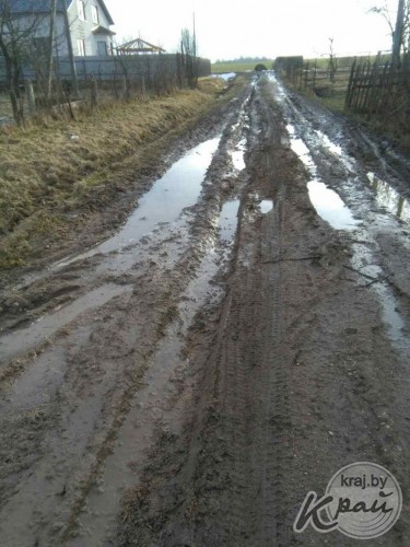 Болото или Приозерная? Жители деревни под Молодечно жалуются на дорогу, где утопают автомобили и трактора (фото)