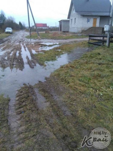 Болото или Приозерная? Жители деревни под Молодечно жалуются на дорогу, где утопают автомобили и трактора (фото)