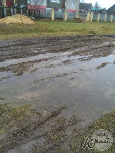 Болото или Приозерная? Жители деревни под Молодечно жалуются на дорогу, где утопают автомобили и трактора (фото)