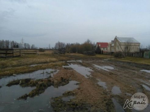 Болото или Приозерная? Жители деревни под Молодечно жалуются на дорогу, где утопают автомобили и трактора (фото)