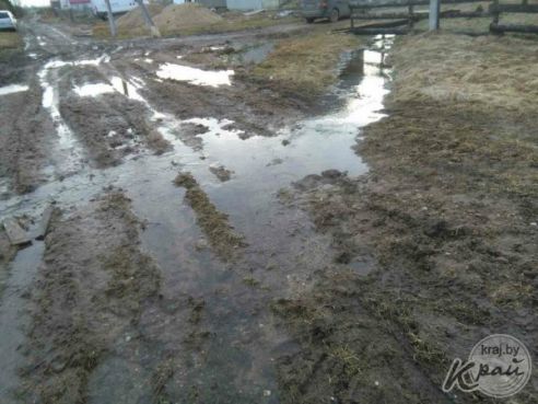 Болото или Приозерная? Жители деревни под Молодечно жалуются на дорогу, где утопают автомобили и трактора (фото)
