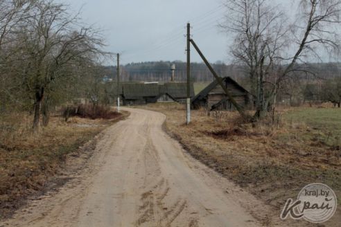 «Вёску шкода. Быў 91 жыхар, а стала 3». Репортаж из деревни Кулеши на Вилейщине, где остались три жилые хаты (фото)