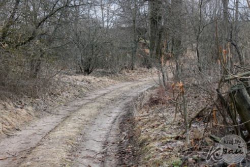 «Вёску шкода. Быў 91 жыхар, а стала 3». Репортаж из деревни Кулеши на Вилейщине, где остались три жилые хаты (фото)