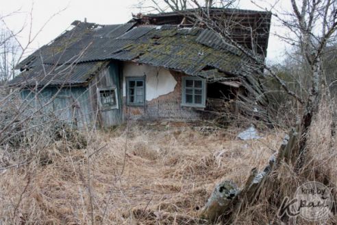 «Вёску шкода. Быў 91 жыхар, а стала 3». Репортаж из деревни Кулеши на Вилейщине, где остались три жилые хаты (фото)