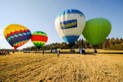 Бонстики заинтриговали белорусских детей и улетели из Беларуси