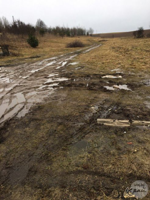 «На проезжей части нет живого места!» Молодечненцы отстаивают право на дорогу (фото)