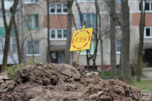«Дойдем до Президента, а в бетоне жить не будем!» Молодечненцы против уплотнения двора по Великому Гостинцу (фото)