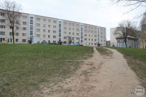 «Дойдем до Президента, а в бетоне жить не будем!» Молодечненцы против уплотнения двора по Великому Гостинцу (фото)