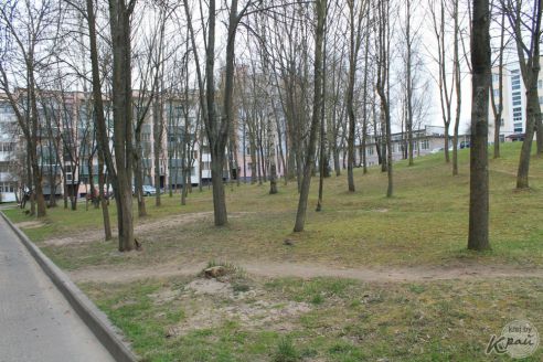 «Дойдем до Президента, а в бетоне жить не будем!» Молодечненцы против уплотнения двора по Великому Гостинцу (фото)