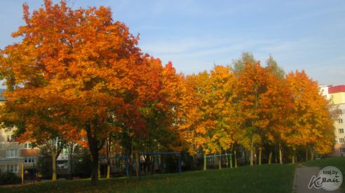 «Дойдем до Президента, а в бетоне жить не будем!» Молодечненцы против уплотнения двора по Великому Гостинцу (фото)