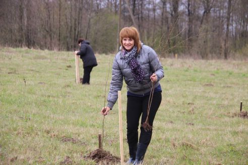 Парк из 100 берез появился в Ошмянах (фото)