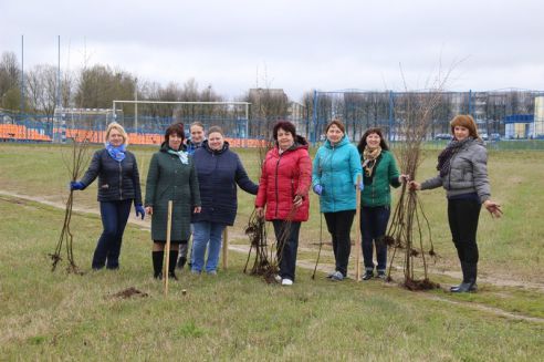 Парк из 100 берез появился в Ошмянах (фото)