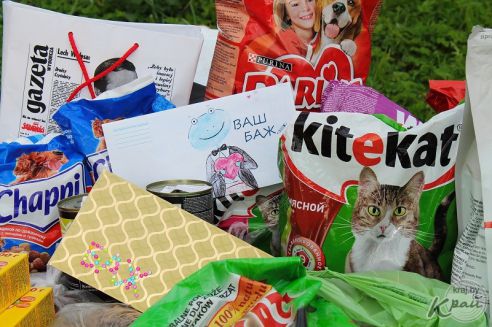 Лекарства, корм и деньги. Молодечненцы и журналисты помогли приюту для котов в Вилейке (фото)