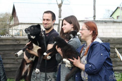 Лекарства, корм и деньги. Молодечненцы и журналисты помогли приюту для котов в Вилейке (фото)