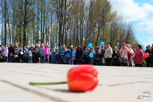 Солдаты в городе. Как в Молодечно отпраздновали 9 Мая (фото, видео)