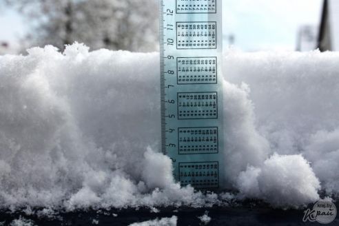 В Вилейке с 10 на 11 мая выпало около 10 см снега. Метеорологи говорят об аномальном явлении (фото)