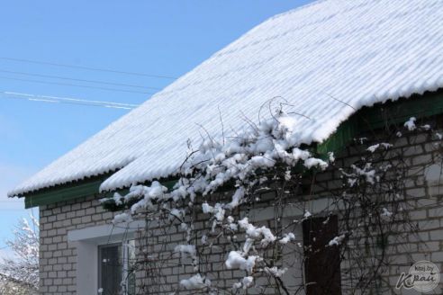 В Вилейке с 10 на 11 мая выпало около 10 см снега. Метеорологи говорят об аномальном явлении (фото)