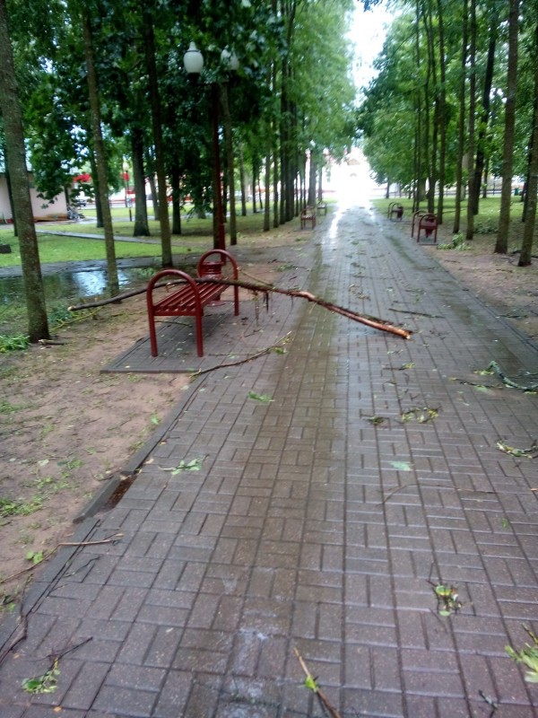 Более 30 поврежденных крыш и 5 га поваленного леса – последствия стихии в Вилейском районе (фото, видео)