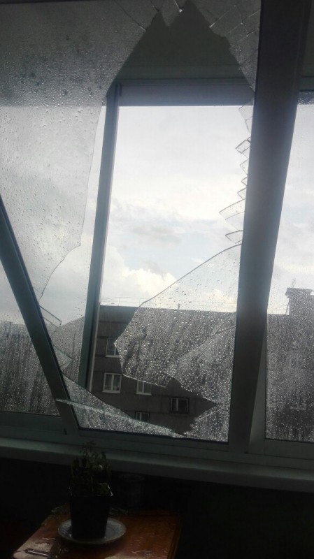 Более 30 поврежденных крыш и 5 га поваленного леса – последствия стихии в Вилейском районе (фото, видео)