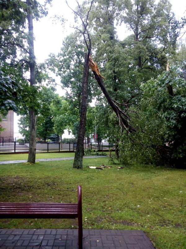 Более 30 поврежденных крыш и 5 га поваленного леса – последствия стихии в Вилейском районе (фото, видео)