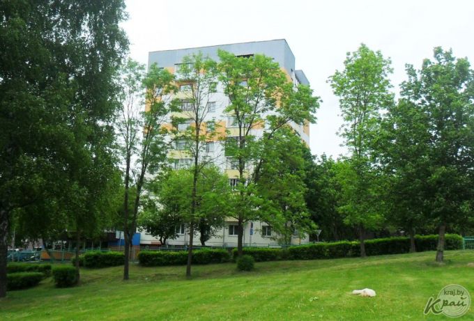 Молодечненка Фаина Демидович: «Музыка фестиваля, конечно, бьет по ушам, но ведь и тишина бывает оглушительной» (фото)