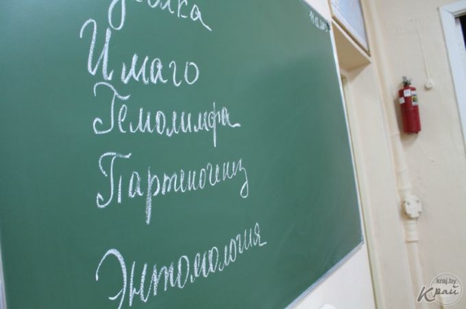 «Ученики и родители отнеслись с пониманием». В Вилейском районе с 1 сентября реорганизуют три школы